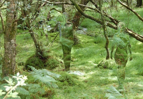cool art installation in woodland walk at the David Marshall Lodge, Scotland, mirrors, predator